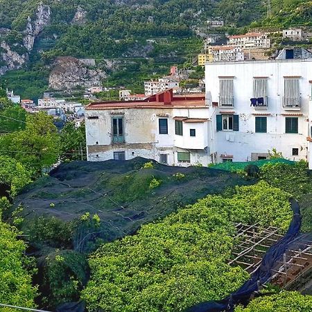 Il Limoneto Di Lulu, Holidays Among The Lemon Trees Minori Exterior foto